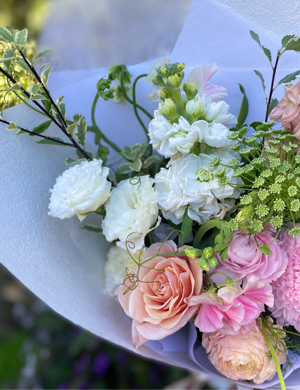 Petal & Whimsy