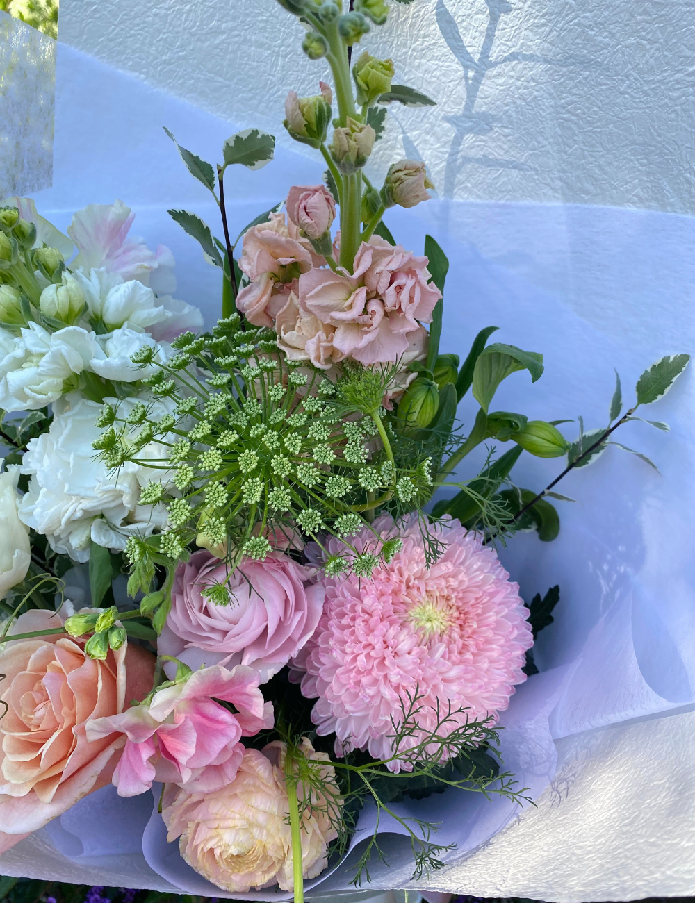 Petal & Whimsy